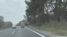 Dálnici D10 lemují nebezpečné stromy. Některé musí k zemi, slibuje ŘSD