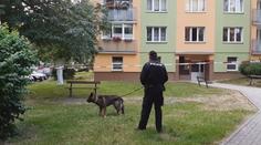 Muž měl pobodat matku nožem. Obvinili ho z pokusu o vraždu