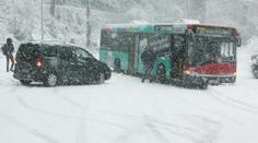Bílá apokalypsa v Německu! Na severu napadlo až 35 cm sněhu