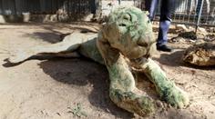 Děsivé FOTO: Mumie zvířat i přežívající mrtvoly, to je zoo hrůzy
