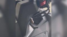 Nepříjemné překvapení pro známého moderátora. Z motorky na něj vykoukl had