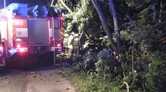 Řidič na Jihlavsku nezvládl zatáčku a dva lidé zemřeli