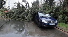 Česko sčítá škody po bouři, vítr lámal stromy a strhával střechy