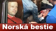 To je tvá práce, Breiviku! Zmrzačení ukazují rány