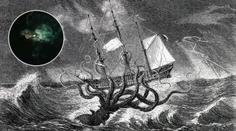 Záhada u antarktického pobřeží: Je to kraken, tvrdí lovci senzací