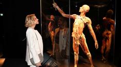 BODY WORLDS v Praze odhaluje tajemství těla