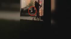 Házel se štěnětem a kopal do něj. Teď mu hrozí až dva roky za mřížemi