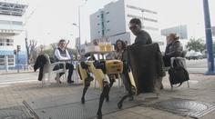 Místo číšníků roznáší ve španělské restauraci pivo robotický pes