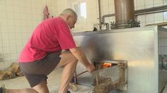 Pálenice už jedou na plné obrátky. Ovoce dozrává rychleji než v předchozích letech