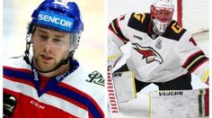 Reprezentaci posílí mistři KHL. Pešán odhalil i možné posily ze zámoří