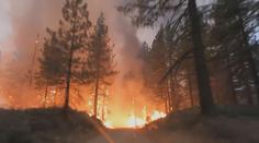USA stále bojuje s rozsáhlými lesními požáry. Byla nařízena evakuace