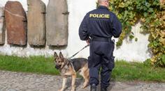 Stařenka odešla z domu, šlo jí o život! Vypátral ji policejní pes