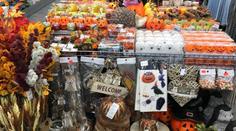 Český obchod rozzuřil zákazníky! Nabízí už halloweenské dekorace