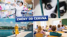 Vyšší tresty za týrání, nová žádost o ošetřovné. Tohle se od června mění
