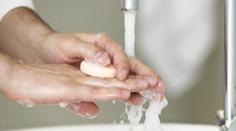 Žloutenka v Česku nabírá na síle. Situace se může ještě zhoršit, varují hygienici