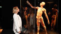 BODY WORLDS: výstava, která odhaluje pravé lidské tělo