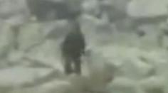 Turista natočil v Tatrách yetiho. VIDEO