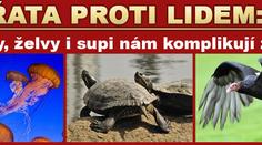 Zvířata nám dokážou zamotat hlavu a zkomplikovat život!