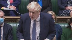 Další skandál: Johnson měl povolit kontroverzní odvoz zvířat z Afghánistánu