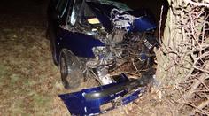 Řidič rozbil auto o strom, ve velmi vážném stavu skončil v nemocnici