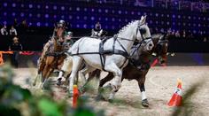 Divákům při Prague Playoffs opět rozproudí krev i závody čtyřspřeží
