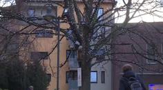 V Chomutově mají strom, který svítí, když se zpívá! Víte i vy o zvláštní výzdobě?