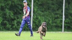 Pes Cherokee je mistr světa. Slouží u pražské policie