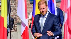 Harry má po králově děsivé diagnóze velké plány. Hned se dal do práce