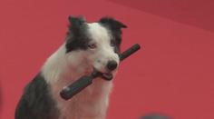 Začal filmový festival v Cannes. Po červeném koberci se prošel i Messi