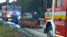 Tragická srážka s autobusem: Zemřel mladý pár a dvě děti (2 a 4)
