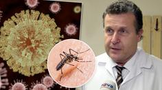 ROZHOVOR S LÉKAŘEM: Máme se v Česku bát viru Zika?