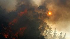 Na Dobříšsku vzplála lesní školka, hasiči ji budou hasit až do večera