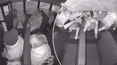 VIDEO: Autentické záběry nehody školního autobusu, děti létaly vzduchem