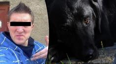 Zrůda: Jiří (24) nechtěl venčit psa, raději ho zabil a hodil do řeky! Co mu hrozí?