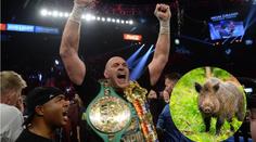 Divocí kňouři jako důkaz? Fury si měl koupit alibi, farmáři nedal ani halíř!