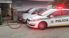 Cyklistu pohryzal staford, přivolaní policisté psa zastřelili