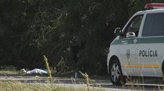 Tragická dopravní nehoda: Otec zemřel před očima syna (16)