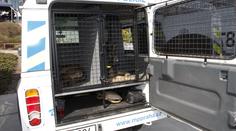 Policejní pes našel opilého řidiče, který se po nehodě schovával v lese