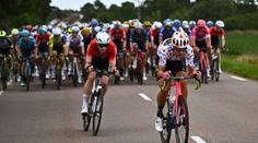 VIDEO: Hromadná nehoda v 8. etapě Tour de France. Odnesl to i Sagan