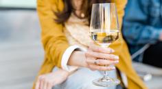 Festwine vyhrál Ryzlink z Mikrosvínu, cenu za kolekci si odnesl Vican