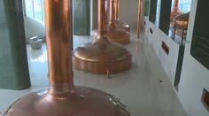 Po bludišti u Kozla se hodí Plzeň. Lidé z Plzeňského kraje lákají na výlety i pivo