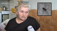 Mrtvolu v Karviné sežrali brouci, teď se stěhují k paní vedle do bytu