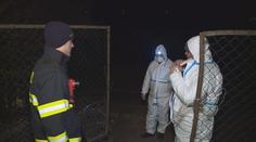 Boj s ptačí chřipkou! Na Moravě začalo vybíjení drůbeže!