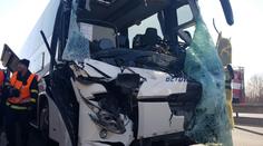Jelen skončil po srážce uvnitř autobusu. Zranil turisty a utekl