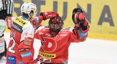 Brankáři Pardubic se změnil život. Frodl oznámil narození potomka
