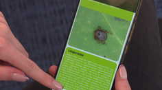 Nová aplikace ukáže, kde jsou klíšťata. Nahlásí také, jestli mají borreliózu