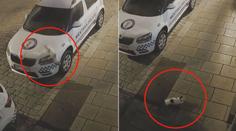 Strážník městské policie měl poničenou kapotu auta, viník utekl po čtyřech