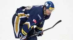 Hadamczik nominoval na Karjalu sedm hráčů z NHL, Jágr mezi nimi chybí