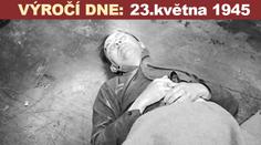 Himmler: muž, který zabil miliony a nakonec i sebe