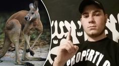 Nová zbraň džihádistů? V Austrálii chtěli využít k útoku klokana!